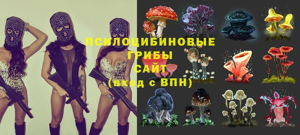 гидра Лиски