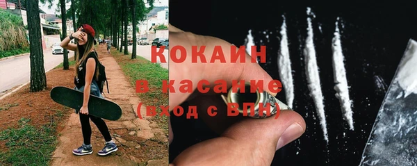 стаф Липки